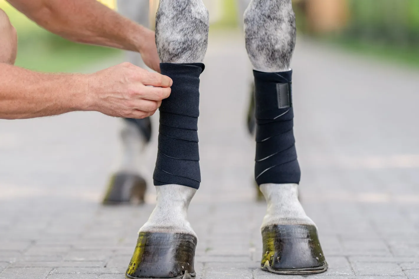 EQUIFIT ® T-Sport Wraps™