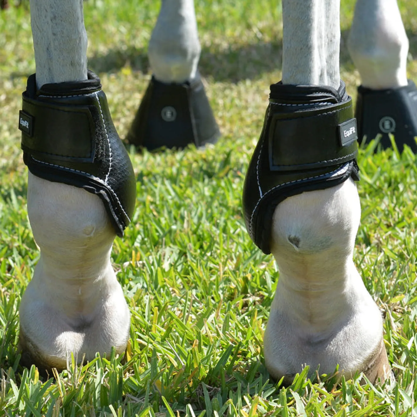 EQUIFIT ® Young Horse Boots with ImpacTeq®