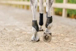 EQUIFIT ® Young Horse Boots with ImpacTeq®