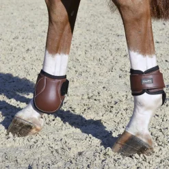 EQUIFIT ® Young Horse Boots with ImpacTeq®