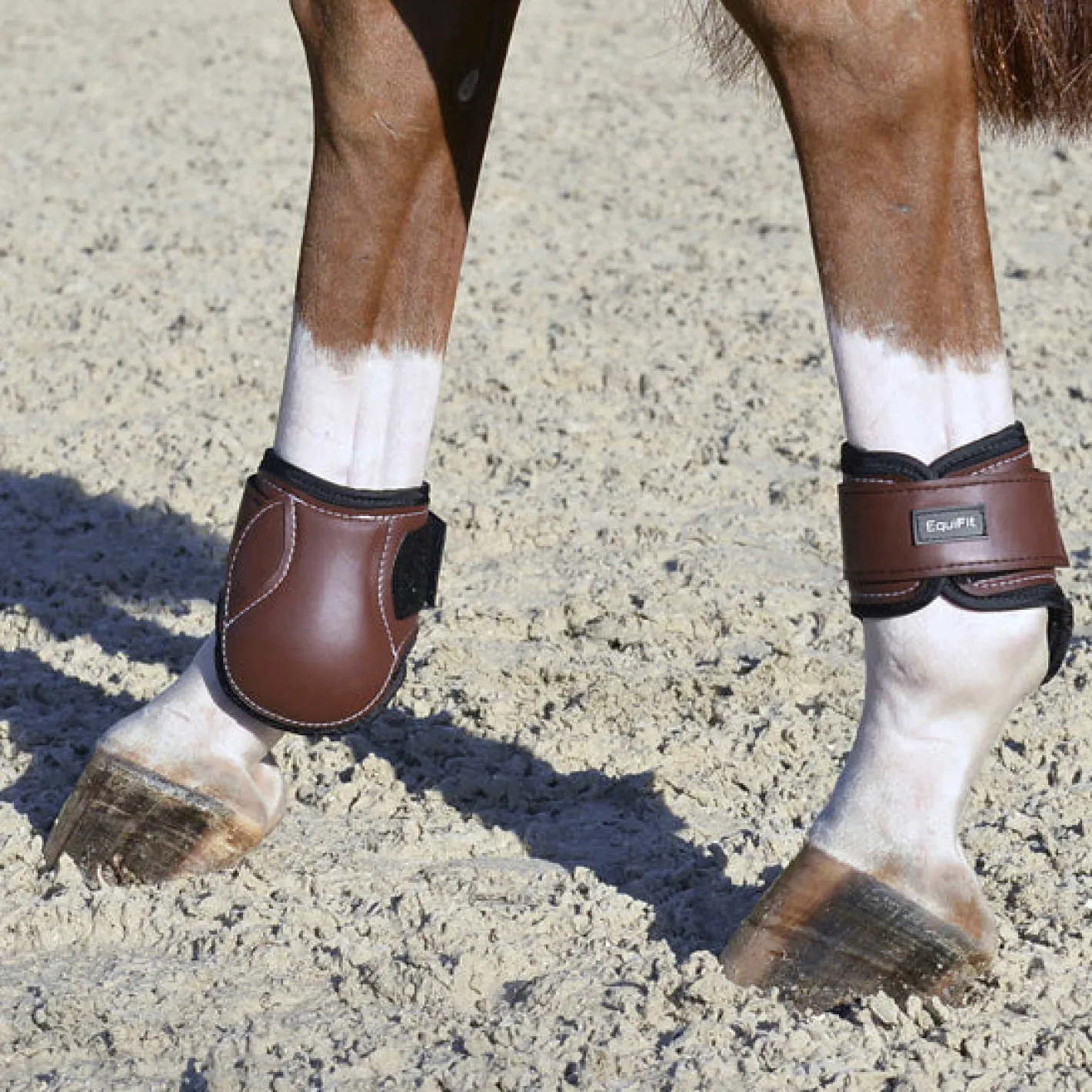 EQUIFIT ® Young Horse Boots with ImpacTeq®