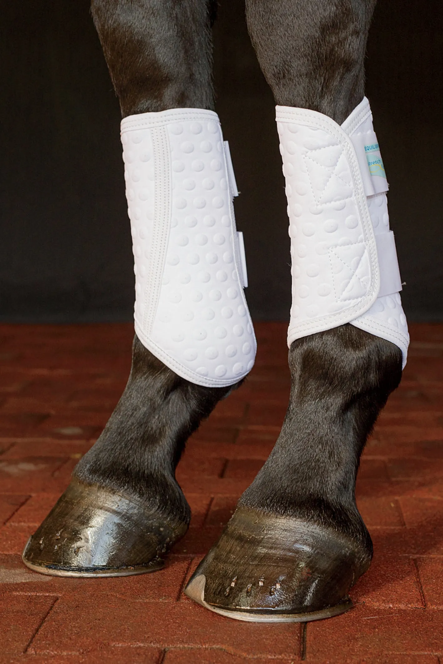 WORLD EQUSTRN BRNDS Equilibrium Original Stretch & Flex Flatwork Leg Wraps