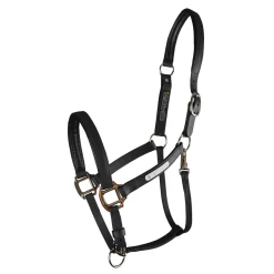 WORLD EQUSTRN BRNDS Equilibrium Stellar All-Weather Breakaway Halter