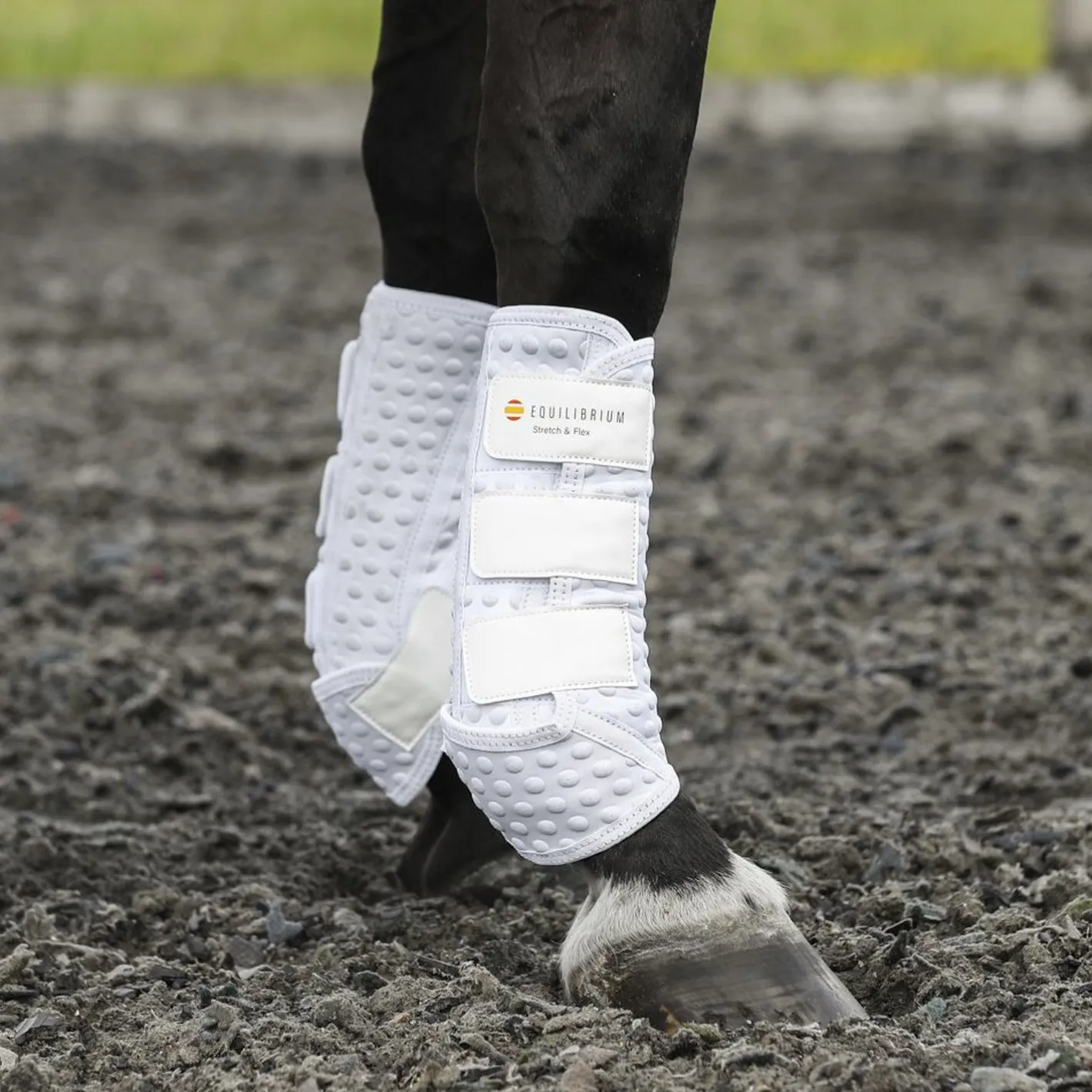 WORLD EQUSTRN BRNDS Equilibrium Stretch & Flex Training Wraps