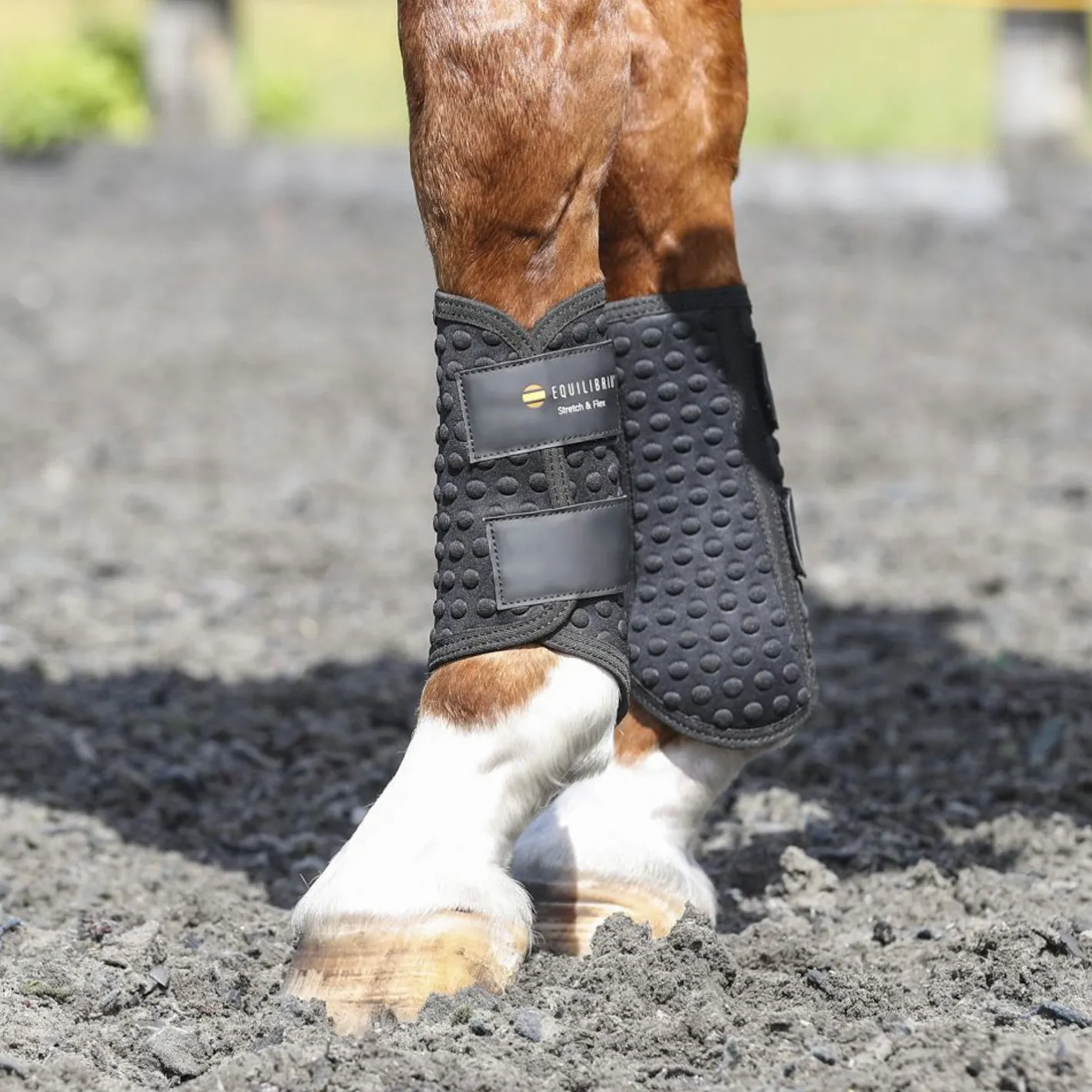 WORLD EQUSTRN BRNDS Equilibrium Stretch & Flex Flatwork Wraps
