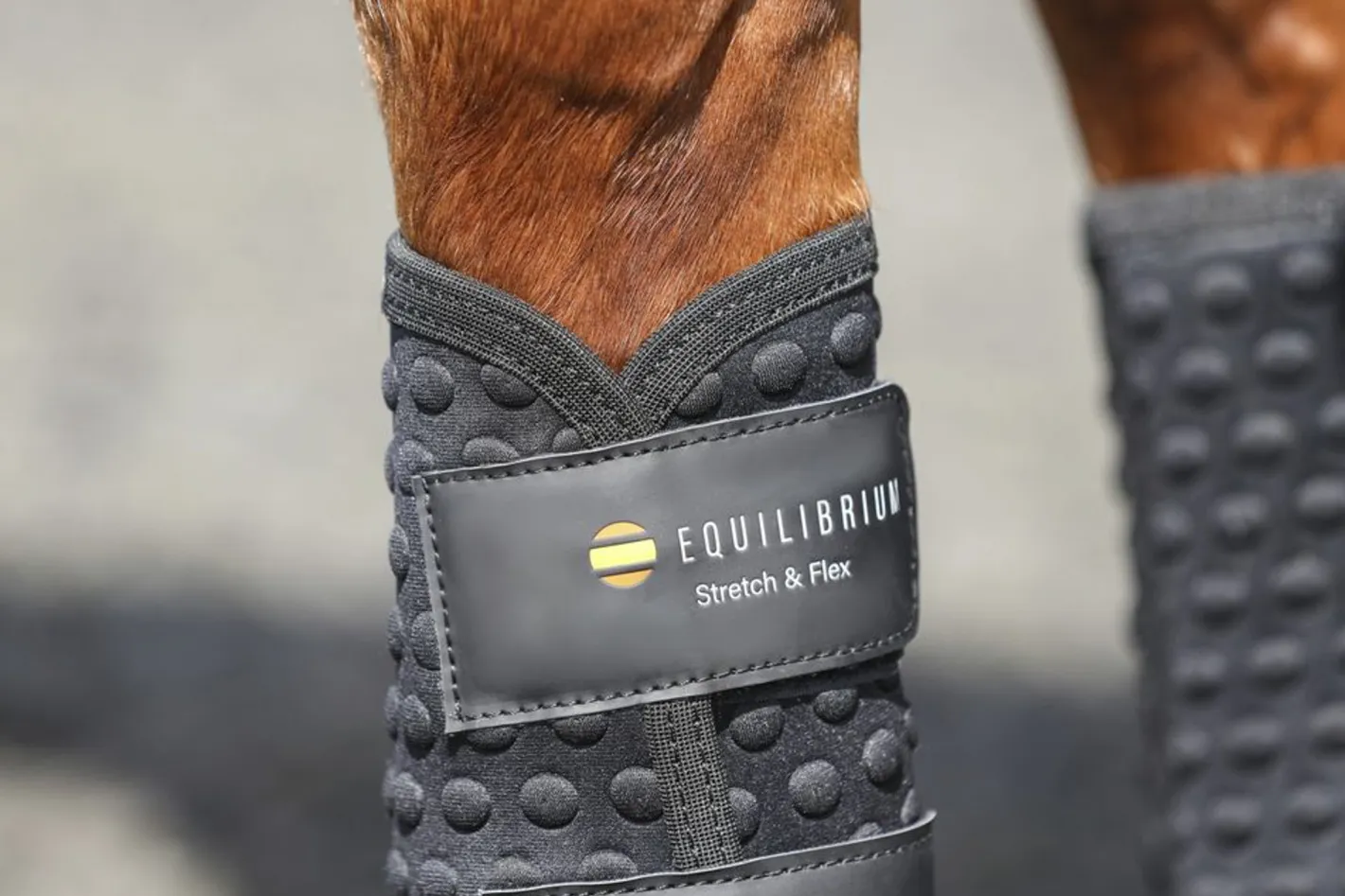 WORLD EQUSTRN BRNDS Equilibrium Stretch & Flex Flatwork Wraps