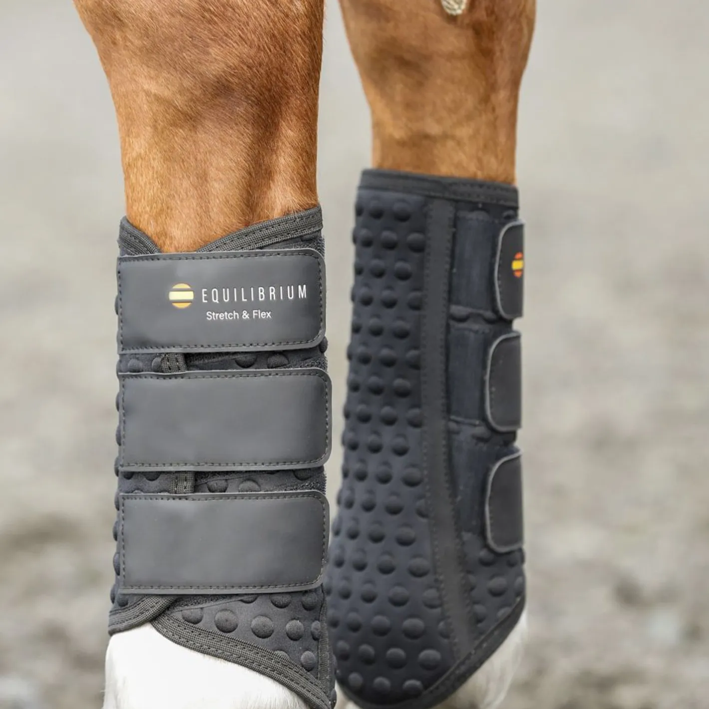 WORLD EQUSTRN BRNDS Equilibrium Stretch & Flex Flatwork Wraps