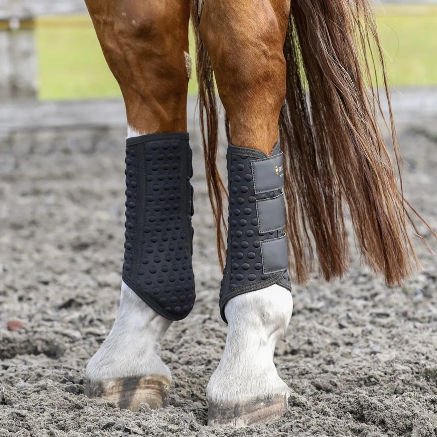 WORLD EQUSTRN BRNDS Equilibrium Stretch & Flex Flatwork Wraps