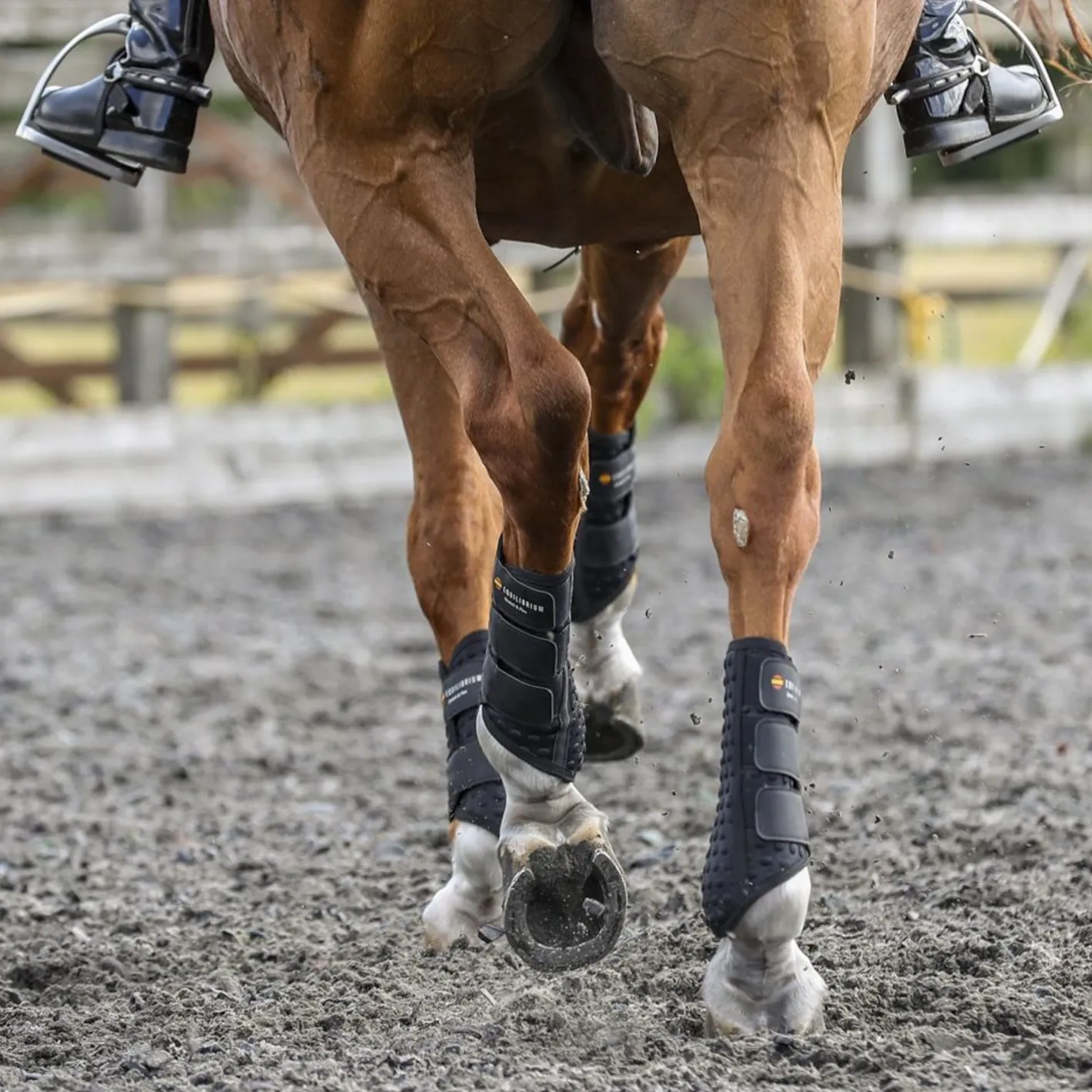 WORLD EQUSTRN BRNDS Equilibrium Stretch & Flex Flatwork Wraps