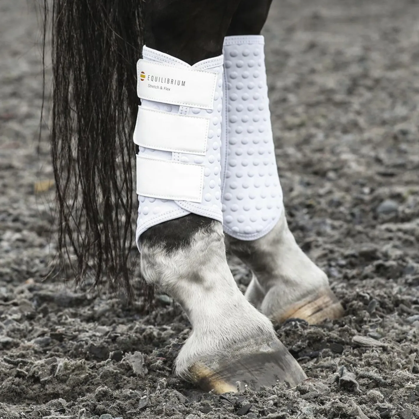 WORLD EQUSTRN BRNDS Equilibrium Stretch & Flex Flatwork Wraps