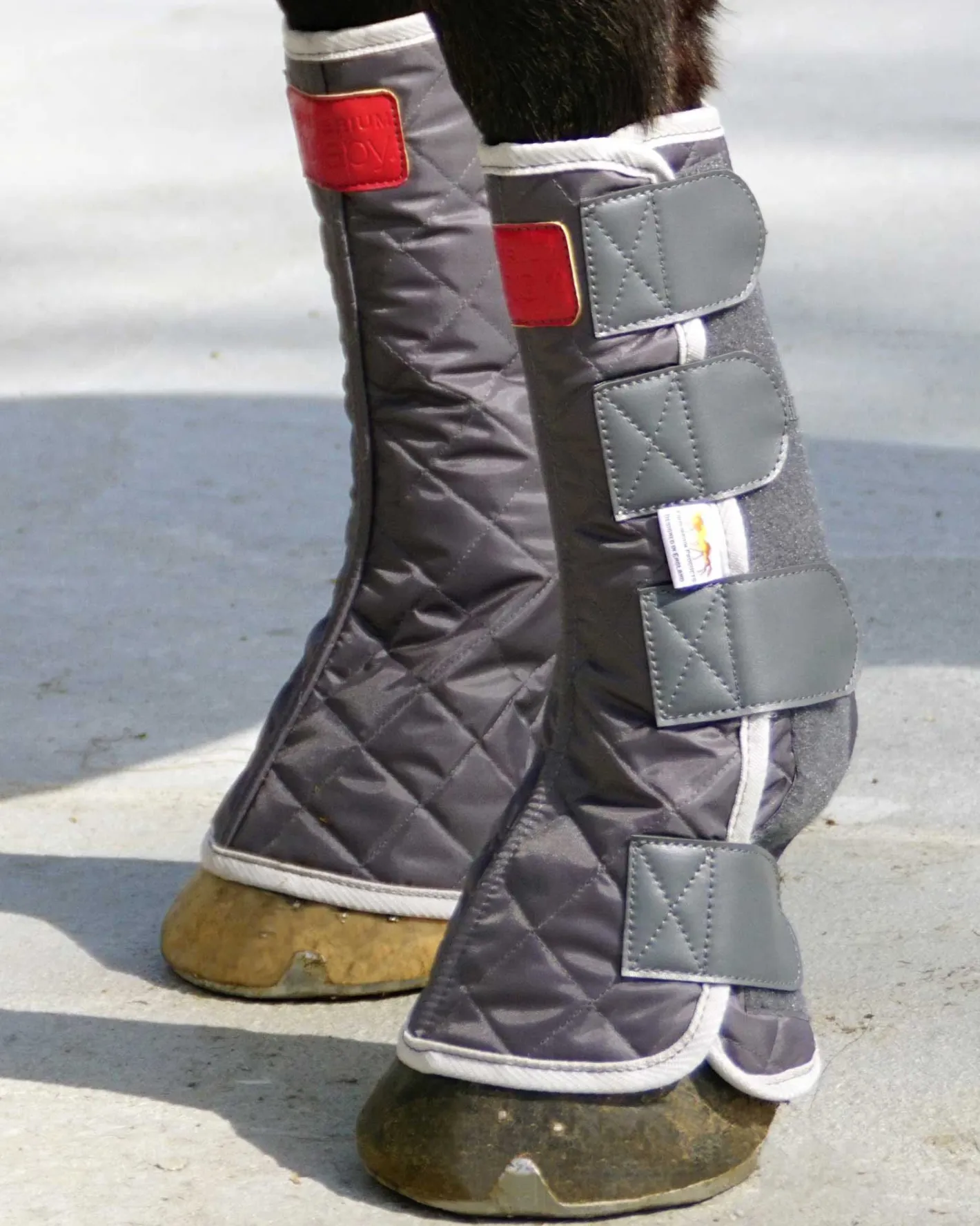 WORLD EQUSTRN BRNDS Equilibrium Therapy® Magnetic Chaps