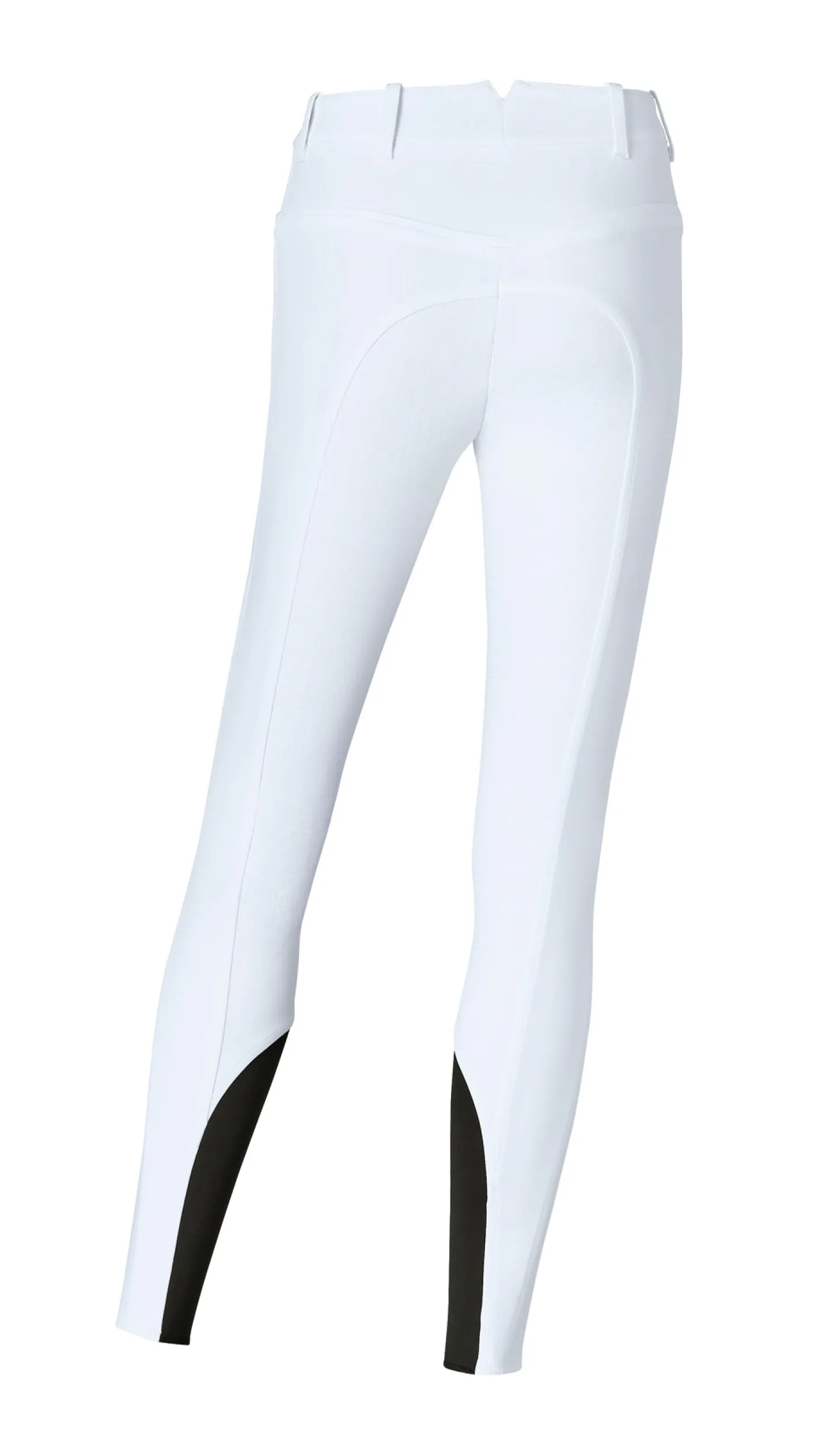EQUILINE AMERICA Equiline Ladies’ Elimedef High-Waist Full-Grip Breech