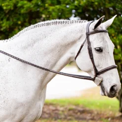 EQUINAVIA Valkyrie Fancy-Stitched Hunter Bridle & Reins