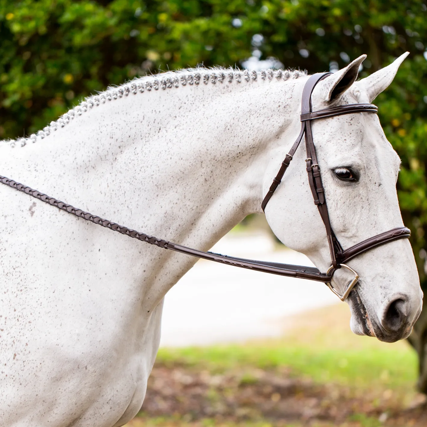 EQUINAVIA Valkyrie Fancy-Stitched Hunter Bridle & Reins
