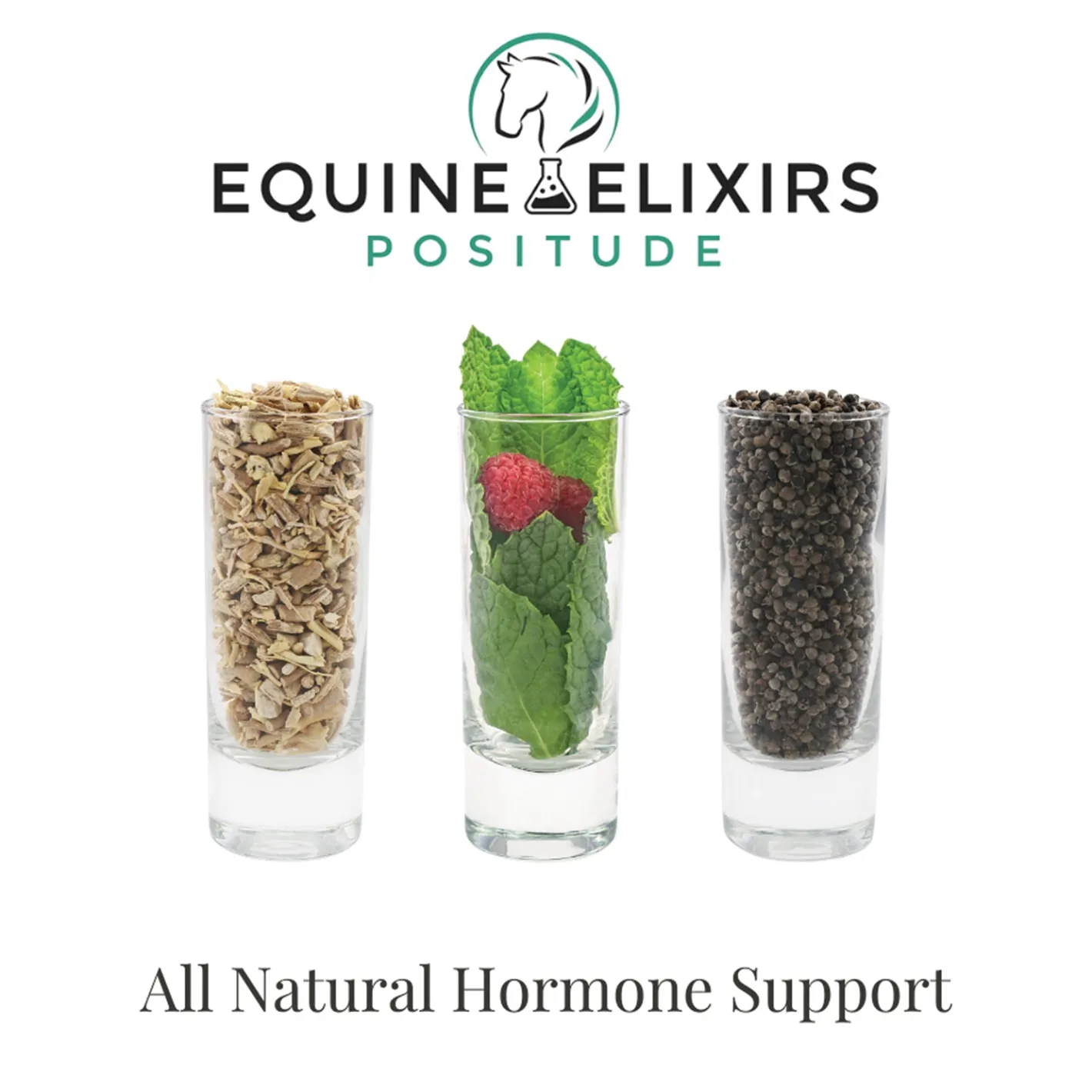 EQUINE ELIXIRS INC Equine Elixir Positude®