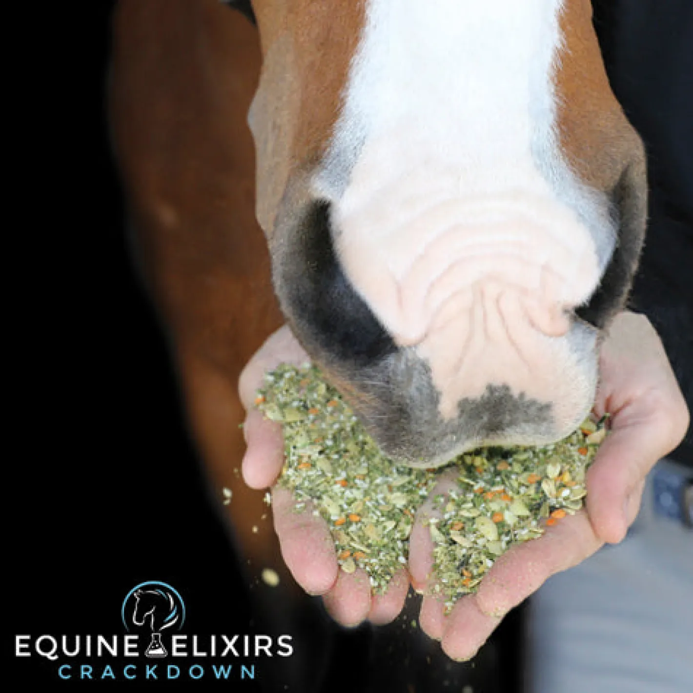 EQUINE ELIXIRS INC Equine Elixirs Crackdown®