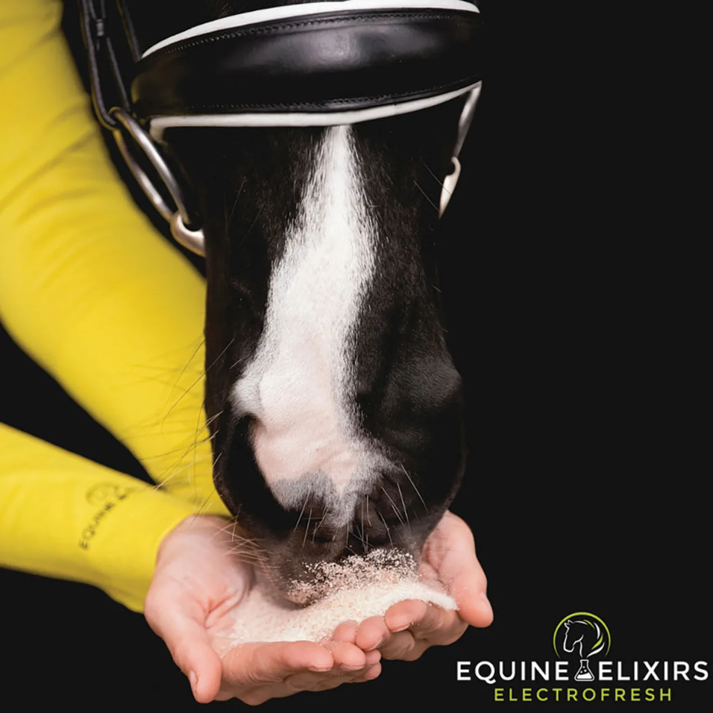 EQUINE ELIXIRS INC Equine Elixirs Electrofresh