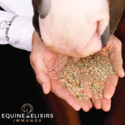 EQUINE ELIXIRS INC Equine Elixirs Immunox®