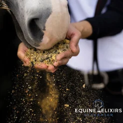 EQUINE ELIXIRS INC Equine Elixirs Ulceraser®