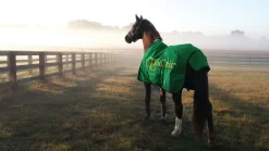BLUEGRASS ANIMAL EquiOtic™ Daily Packets-30 day