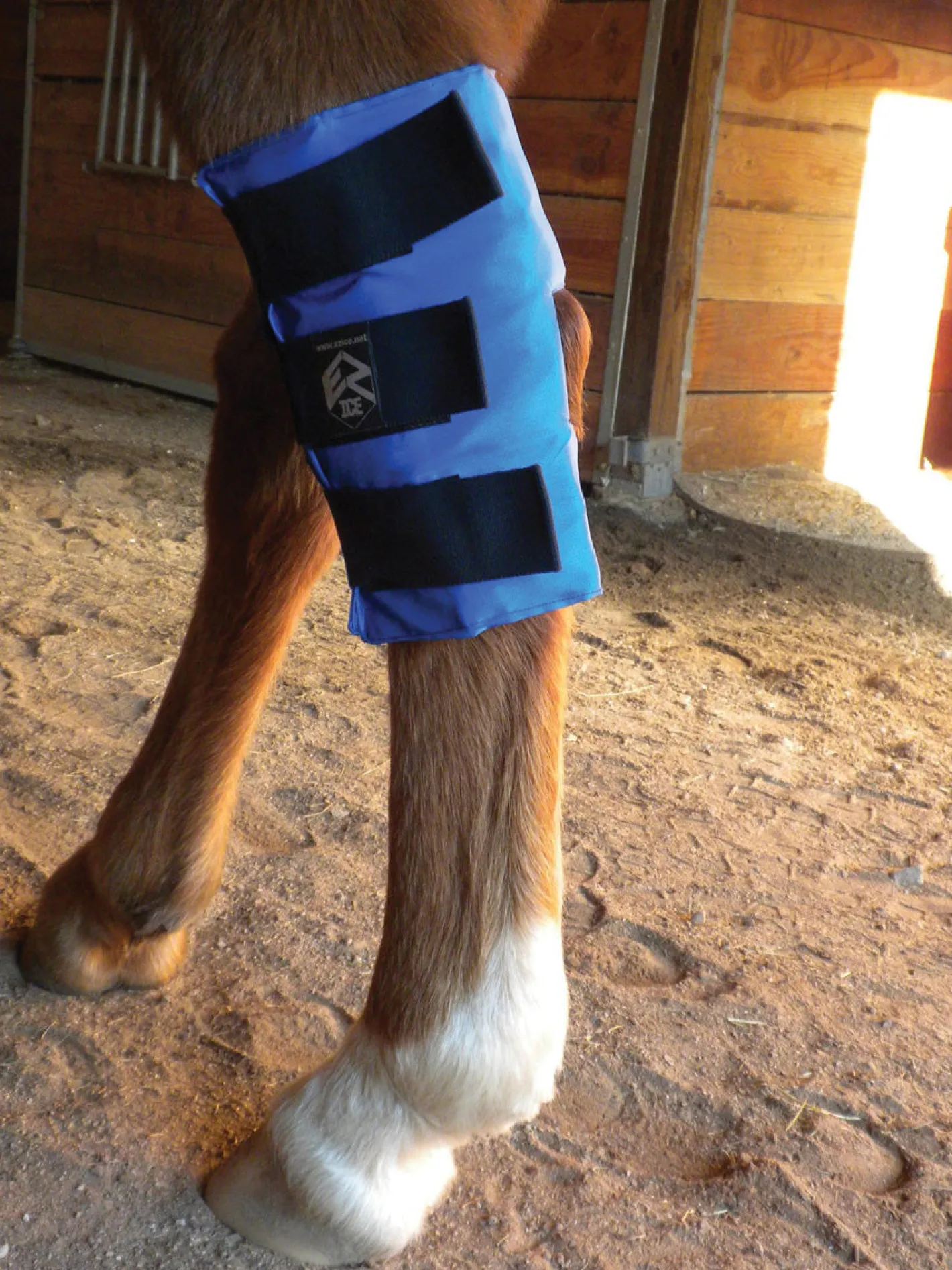 EZ ICE Hock Wrap