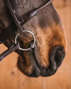 ELITE EQUESTRIAN SUP Fager Emil Titanium Loose Ring Bit, 16mm Mouth