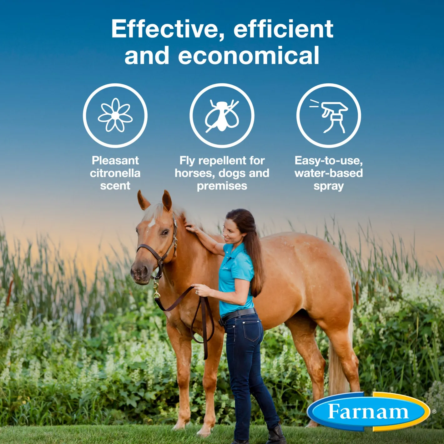 ANIMAL HEALTH INT Farnam® Bronco® E Fly Spray