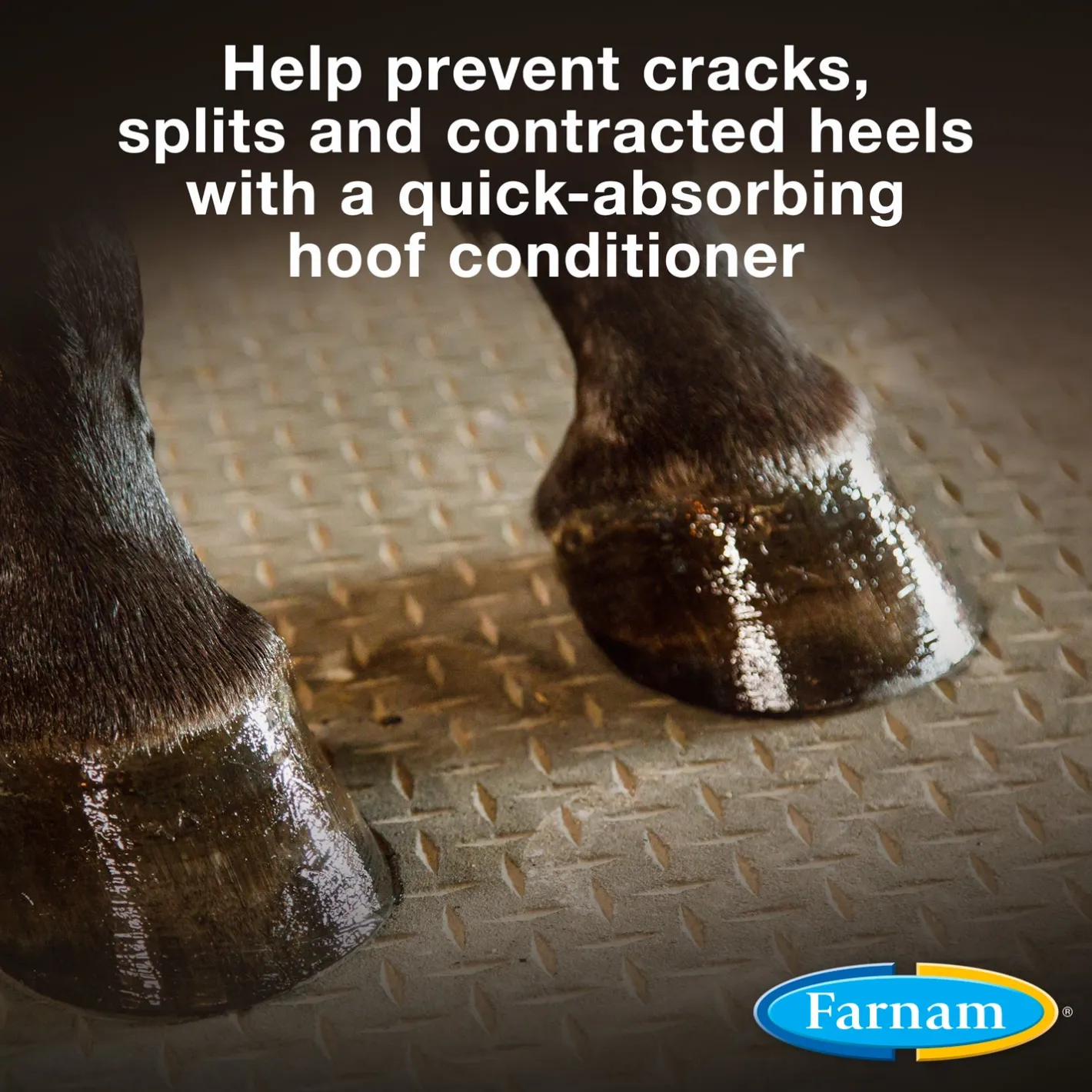 ANIMAL HEALTH INT Farnam® Horseshoer’s Secret® Hoof Conditioner