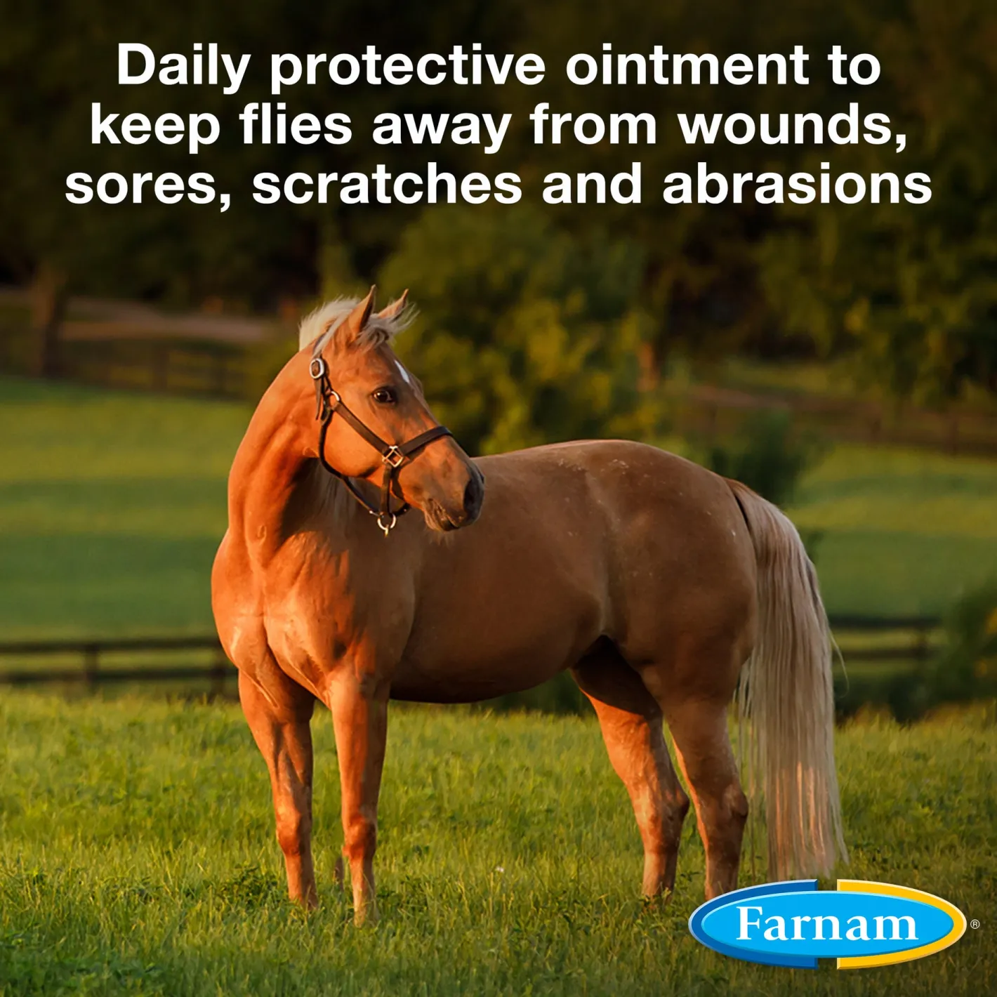ANIMAL HEALTH INT Farnam® Swat® Clear Fly Repellent Ointment