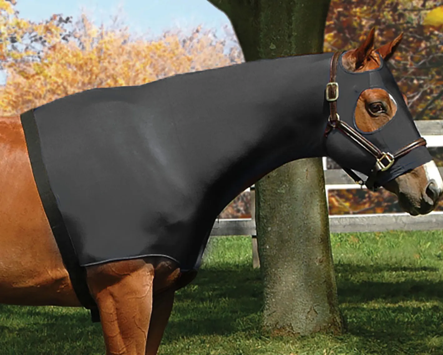 INT RIDING HELMET Flex Rider® Stretchies™ Hood