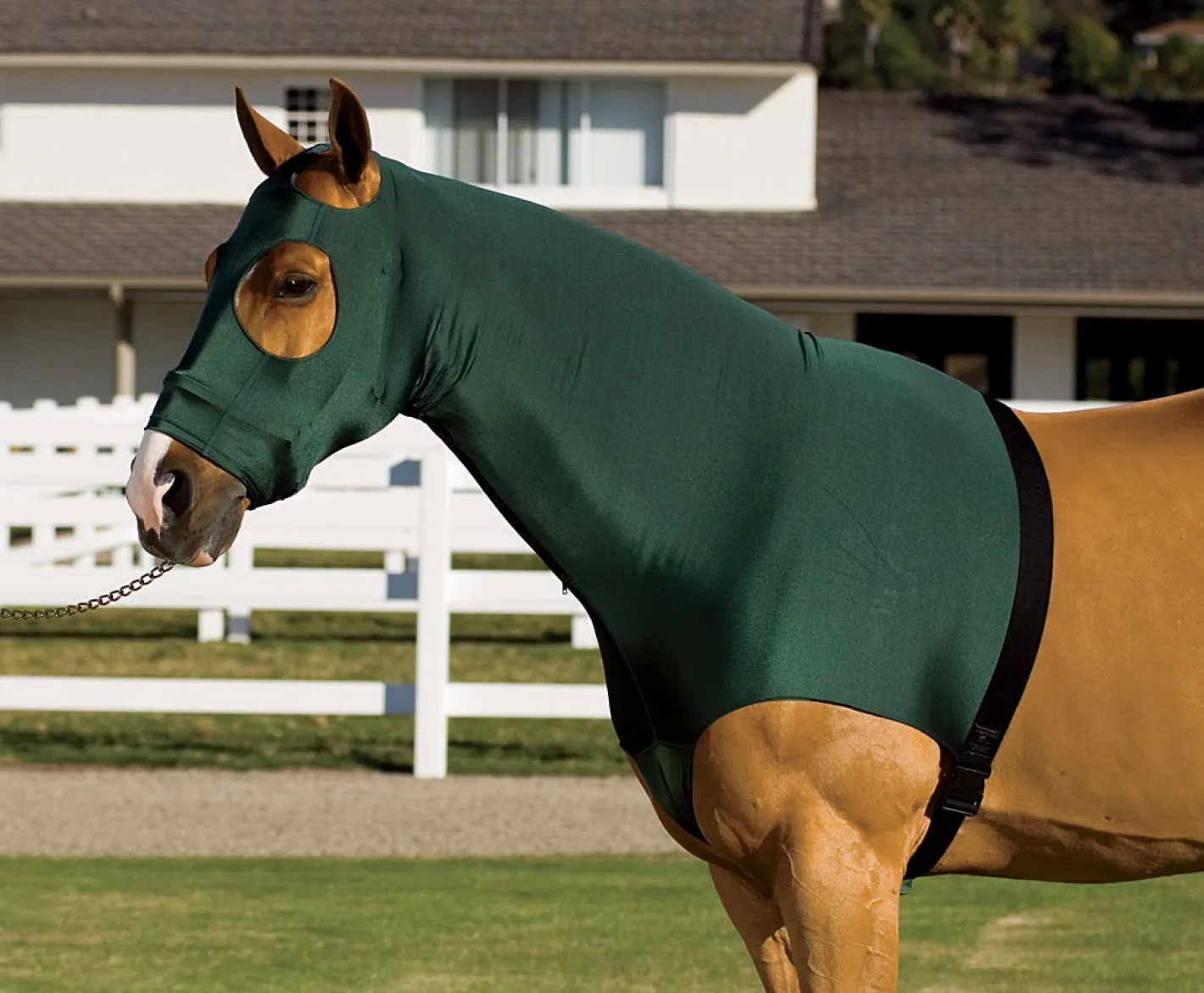 INT RIDING HELMET Flex Rider® Stretchies™ Hood