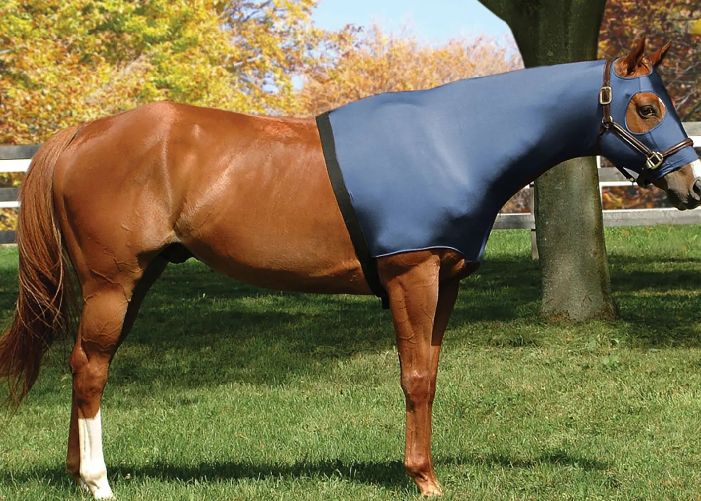 INT RIDING HELMET Flex Rider® Stretchies™ Hood