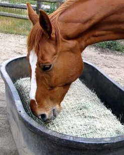 KENSINGTON Freedom Feeder Full Bale Net