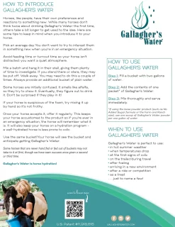 EQUESTRIBEV Gallagher’s Water™ All-Natural Equine Hydration Beverage, 12 Sachets