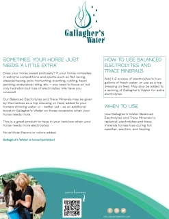 EQUESTRIBEV Gallagher’s Water™ Balanced Electrolytes & Trace Minerals