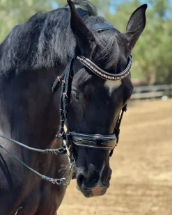 HALTER EGO Aurelia Rose Gold Black Patent Double Bridle