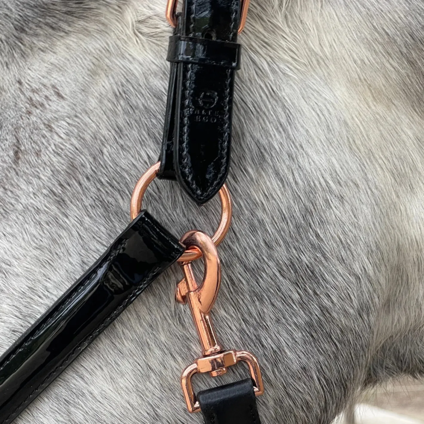 HALTER EGO ® Catalonia Halter