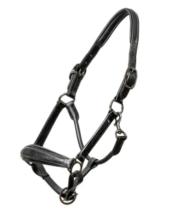 HALTER EGO ® Doc Marten Padded Halter