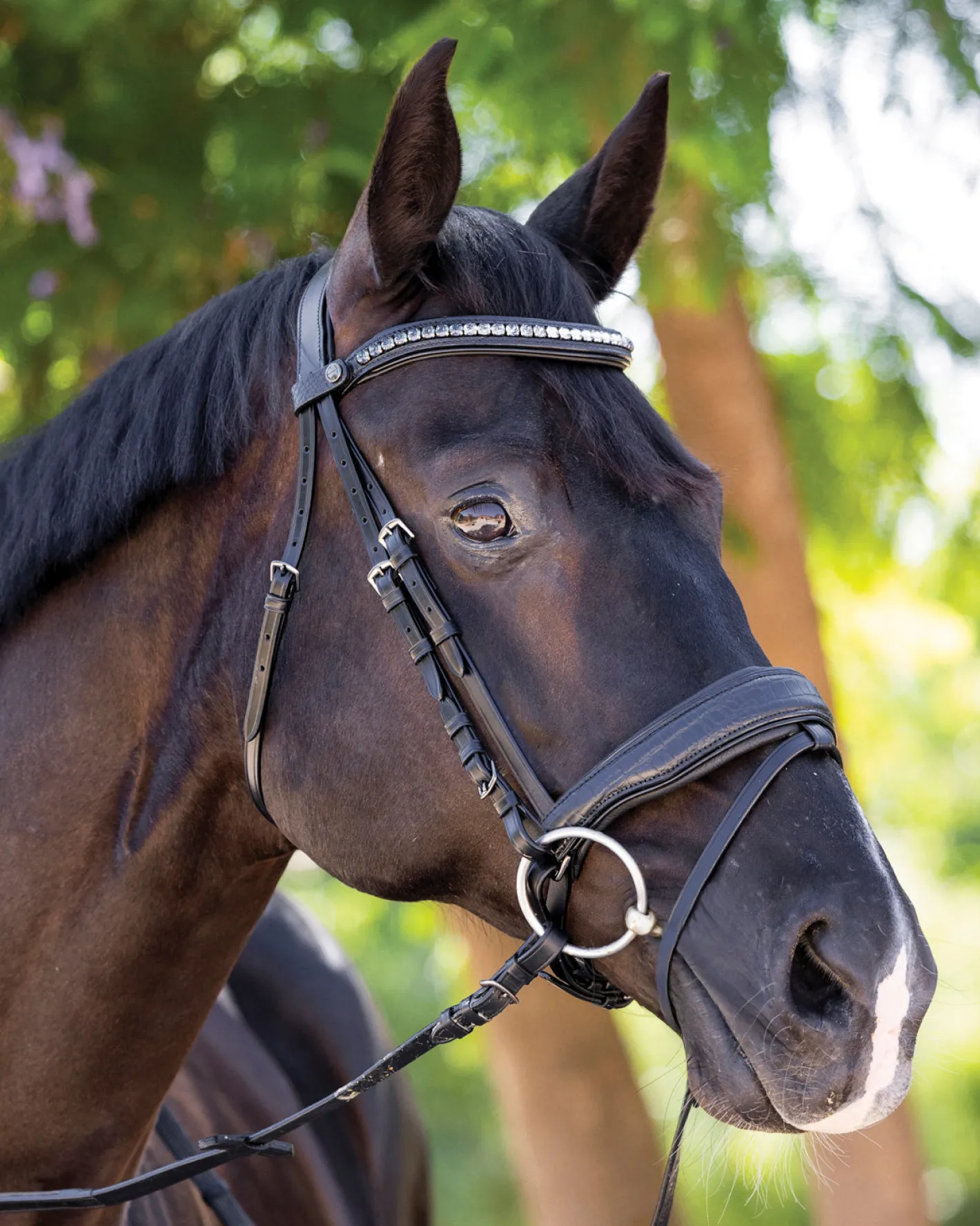 HALTER EGO ® Doc Marten Snaffle Bridle