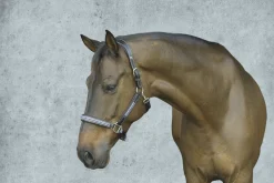 JPC EQUESTRIAN HDR Padded Jewel Halter