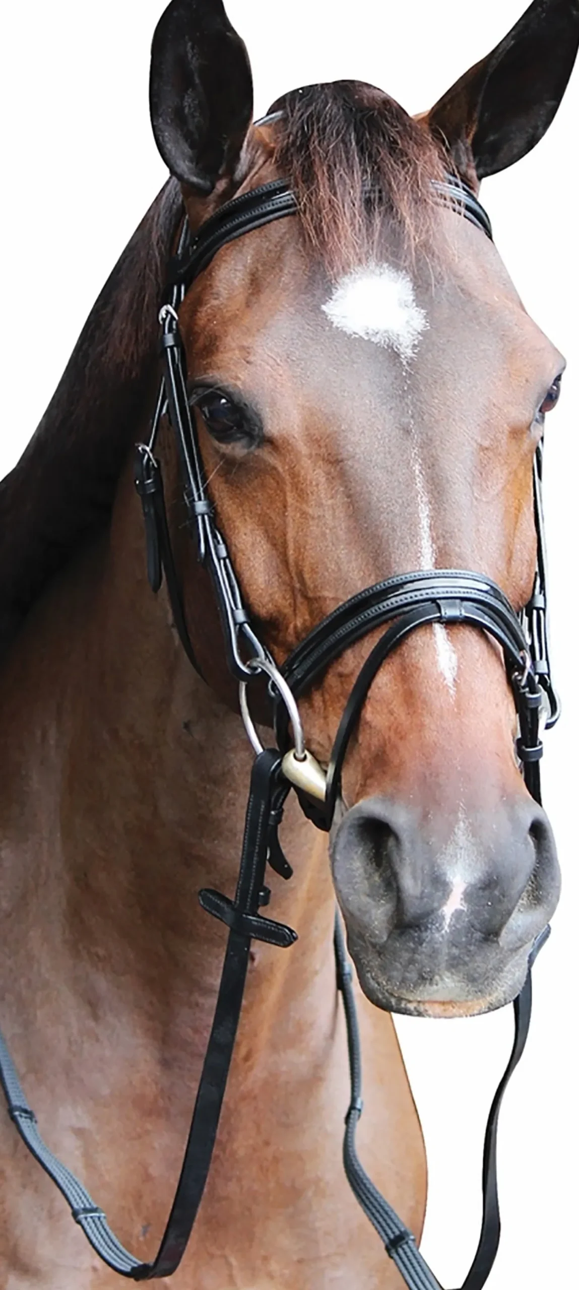 JPC EQUESTRIAN Henri de Rivel Piaffe Mono Crown Bridle with Flash Noseband & Patent Leather