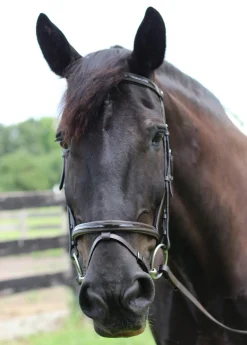 JPC EQUESTRIAN Henri de Rivel Piaffe Mono Crown Bridle with Flash Noseband & Patent Leather