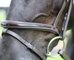 JPC EQUESTRIAN Henri de Rivel Piaffe Mono Crown Bridle with Flash Noseband & Patent Leather