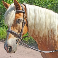 JPC EQUESTRIAN Henri de Rivel Pro Fancy Raised Comfort Crown Padded Bridle with Fancy Raised Reins
