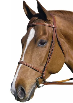JPC EQUESTRIAN Henri de Rivel Pro Fancy Raised Bridle with Laced Reins