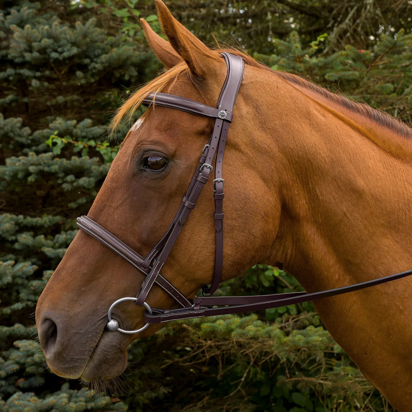 JPC EQUESTRIAN Henri de Rivel Pro Mono Crown Fancy-Stitched Padded Bridle with Laced Reins