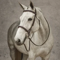JPC EQUESTRIAN Henri de Rivel Pro Mono Crown Fancy-Stitched Padded Bridle with Laced Reins