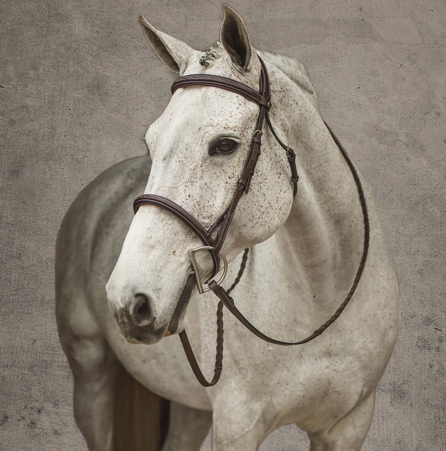 JPC EQUESTRIAN Henri de Rivel Pro Mono Crown Fancy-Stitched Padded Bridle with Laced Reins