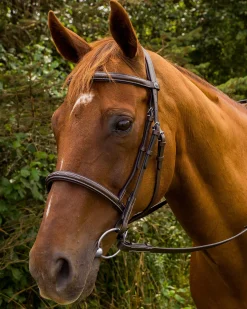JPC EQUESTRIAN Henri de Rivel Pro Mono Crown Fancy-Stitched Padded Bridle with Laced Reins