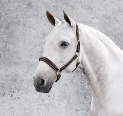 JPC EQUESTRIAN Henri de Rivel Stress Free Halter with Fancy Contrast Stitching